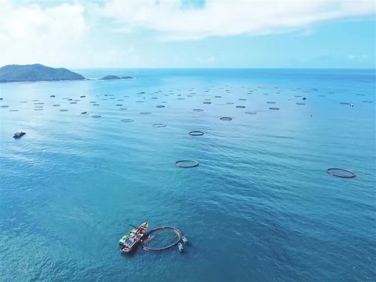 再攀新高！三亞農(nóng)投海洋產(chǎn)業(yè)有限公司成功入選